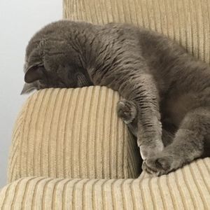 Meet your Posher, Stephenie